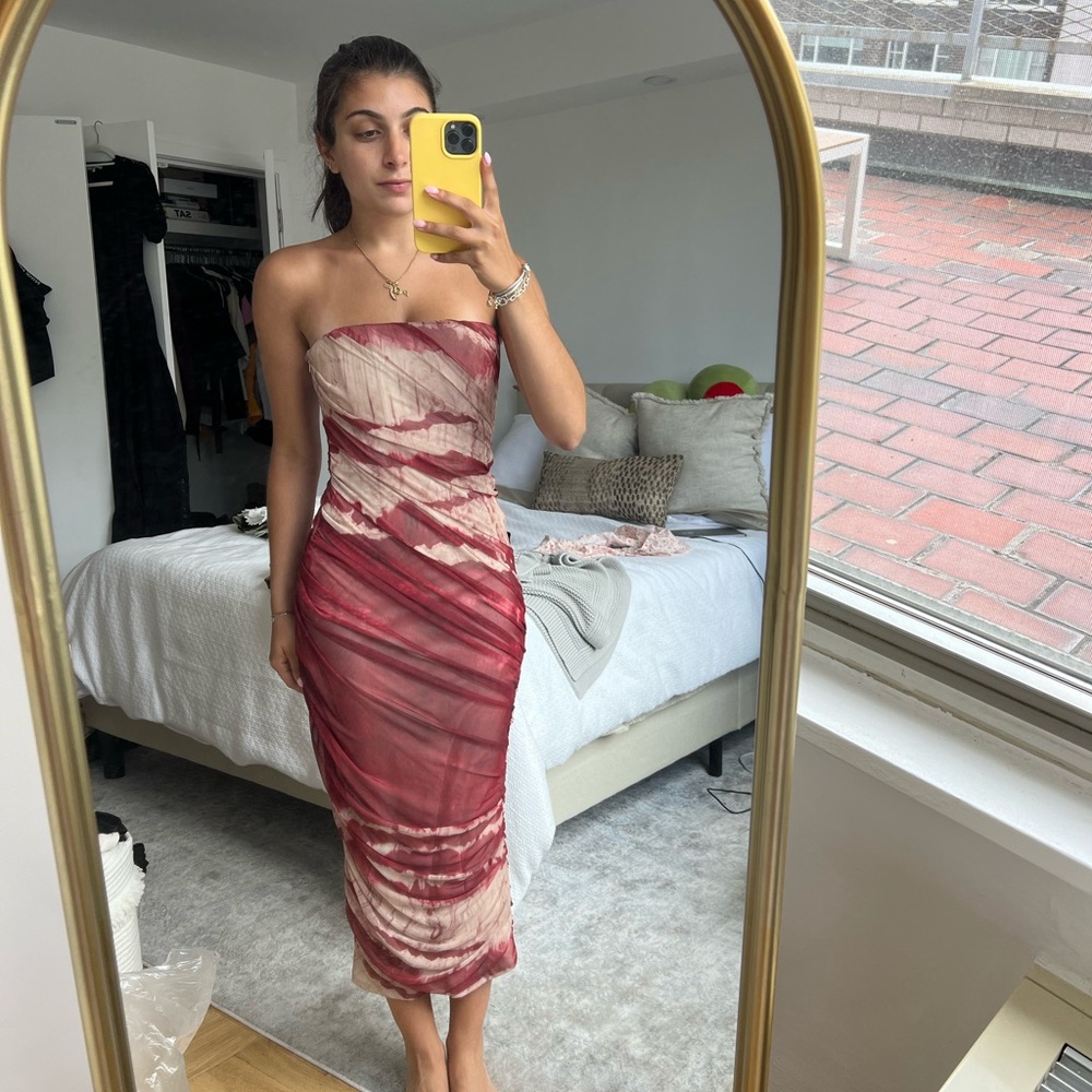 Zara mesh midi dress